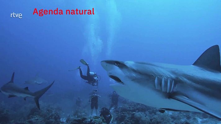 La aventura del Saber - Agenda natural