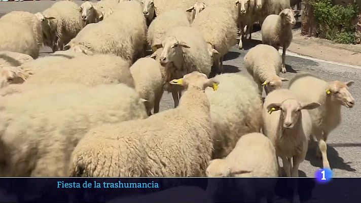 Informativo Telerioja - Informativo Telerioja 23-06-2025 Ver ahora