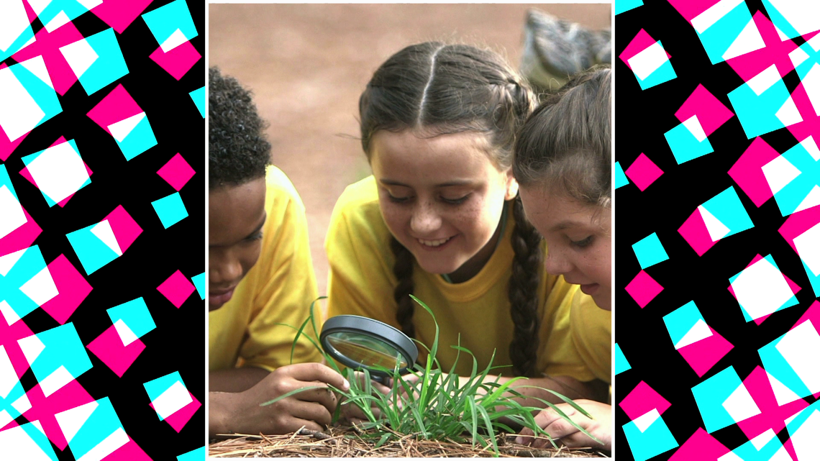 Nos gusta observar la naturaleza en verano - El mes de... | Ver