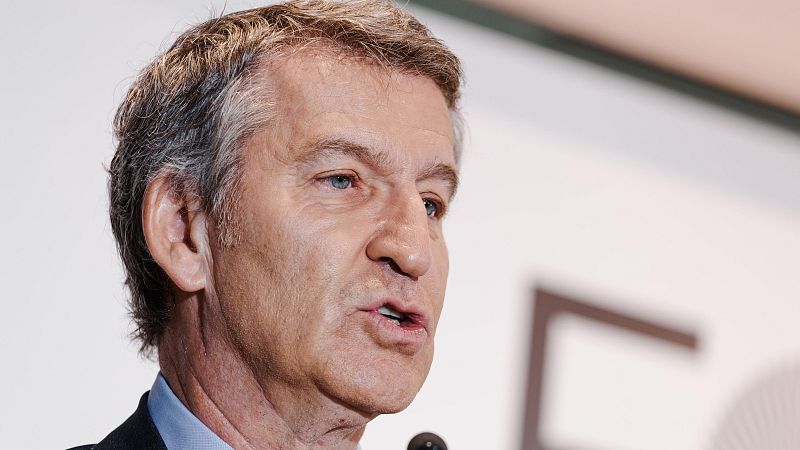 Feijóo: "La amnistía es ilegal, inmoral y una transacción corrupta" - Diario 24 | Ver