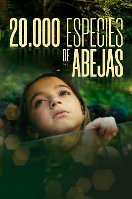20.000 especies de abejas