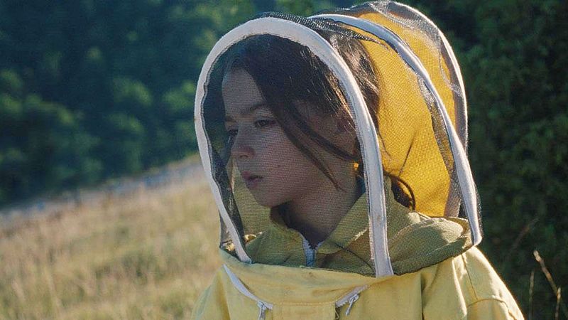 Somos cine - 20.000 especies de abejas