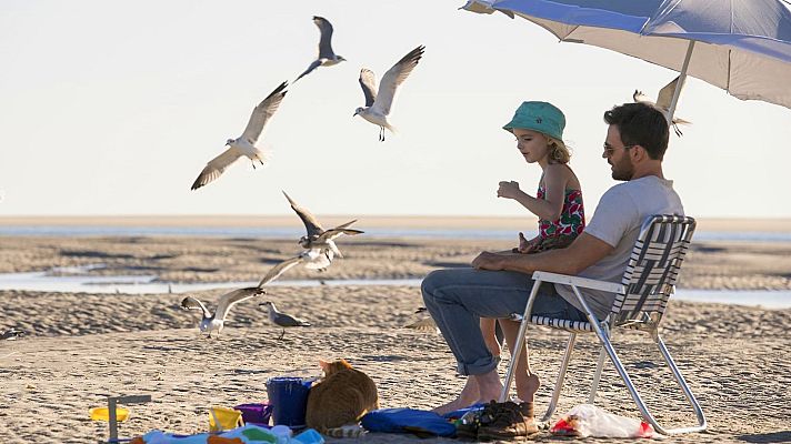 Cine internacional - Un don excepcional
