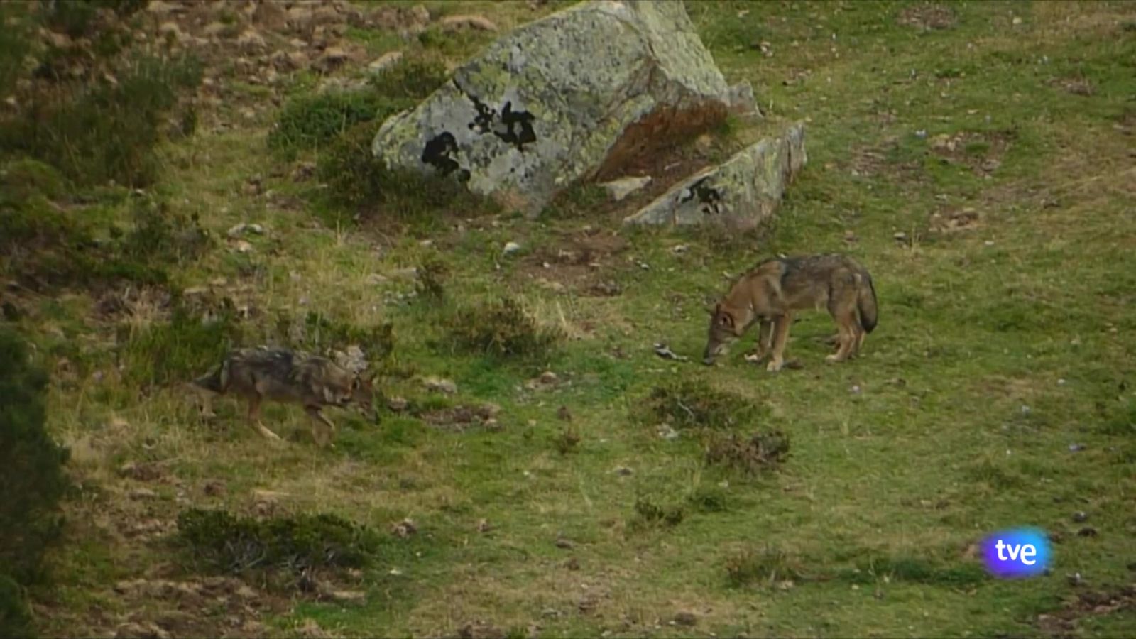 Asturias en 2' - 27/06/25 | Ver