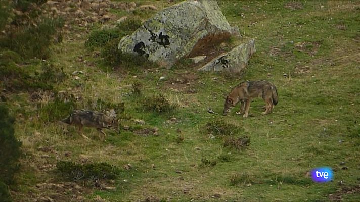 Panorama Regional - Panorama Regional - 27/06/25