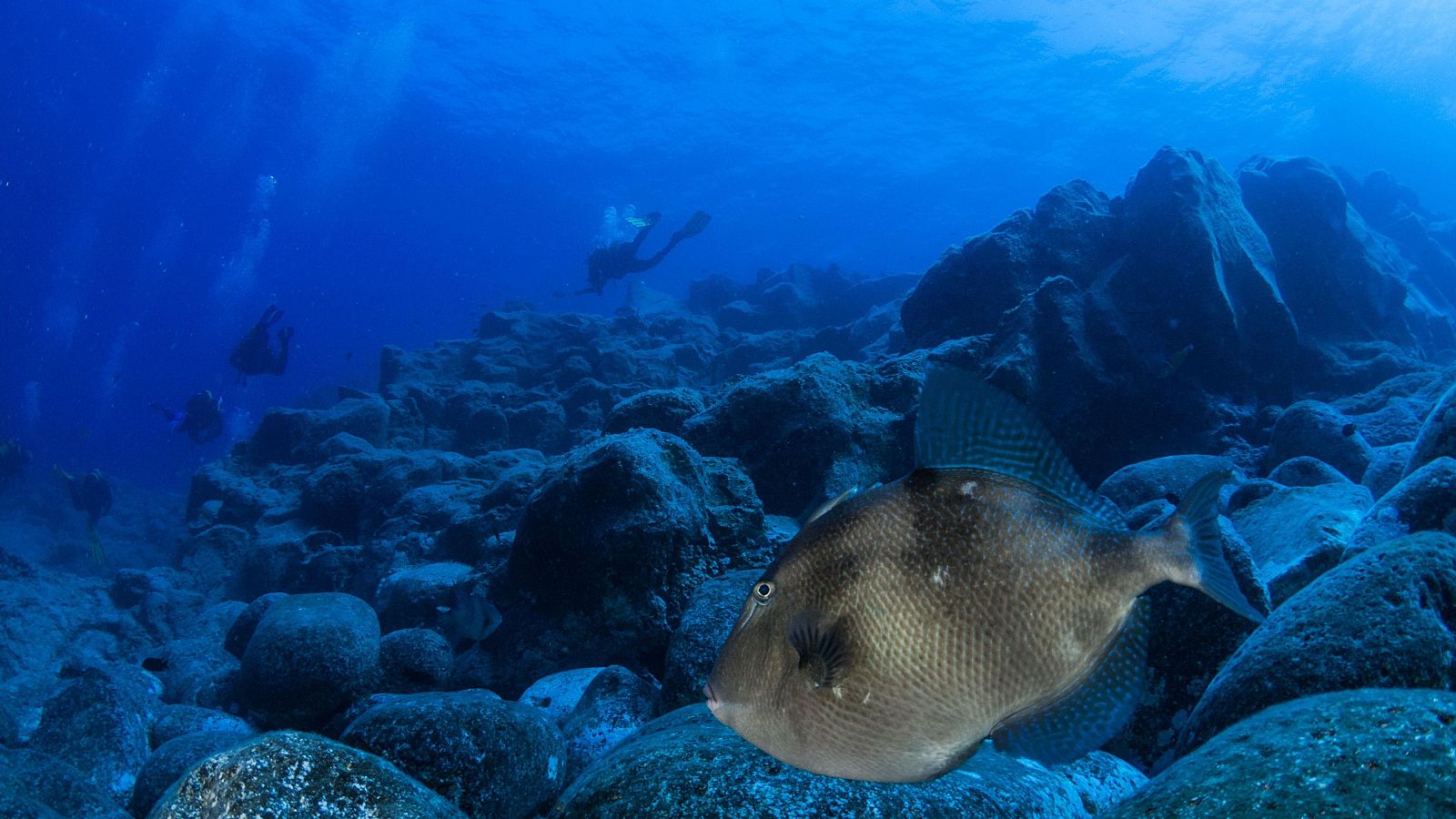 El entrenamiento espacial de la futura astronauta Sara García - Telediario 1 | Ver