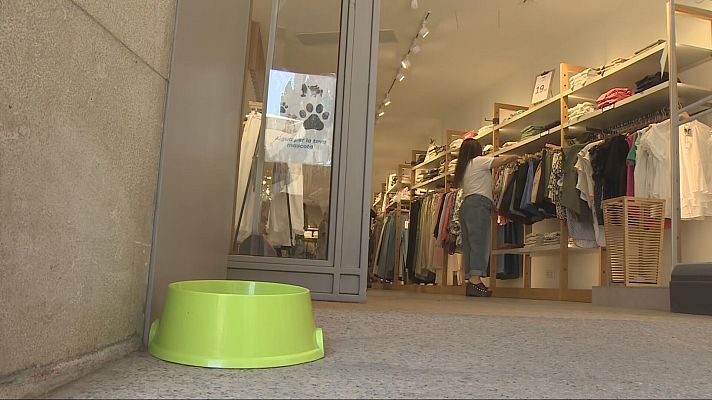 L'Informatiu - Comerços aliats per protegir-se de la calor