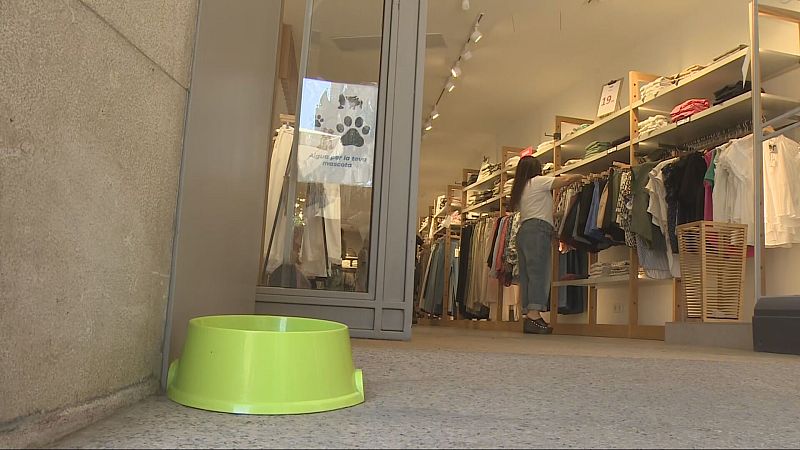 Comerços aliats per protegir-se de la calor