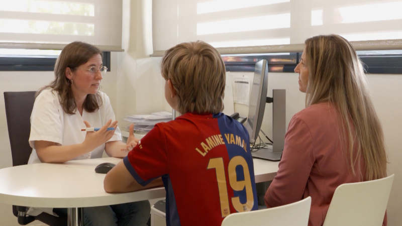 El escarabajo verde - Recetar el bosque - El escarabajo verde | Ver