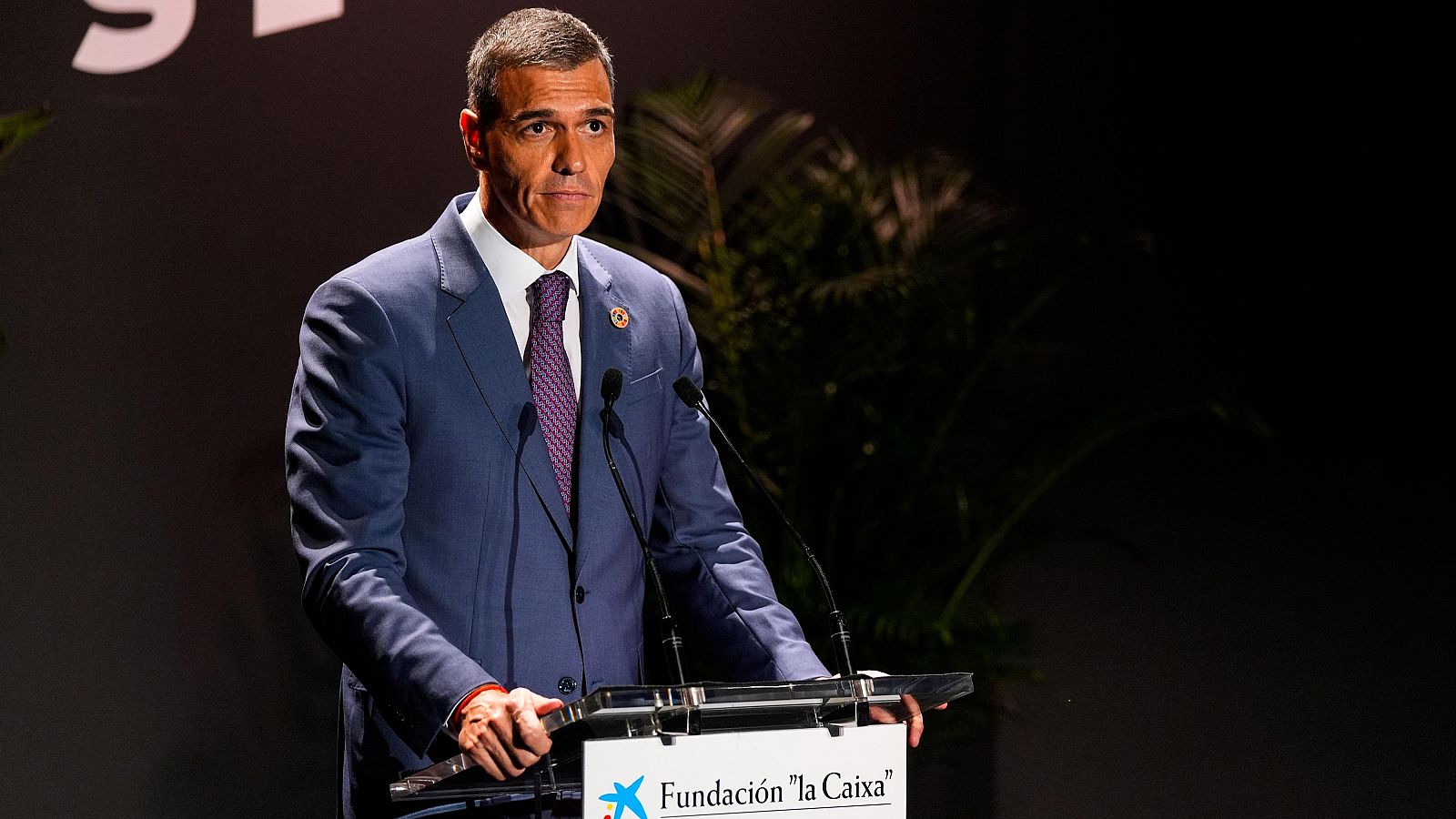 Sánchez inaugura en Sevilla el Global Citizen Now - Fin de semana 24h | Ver