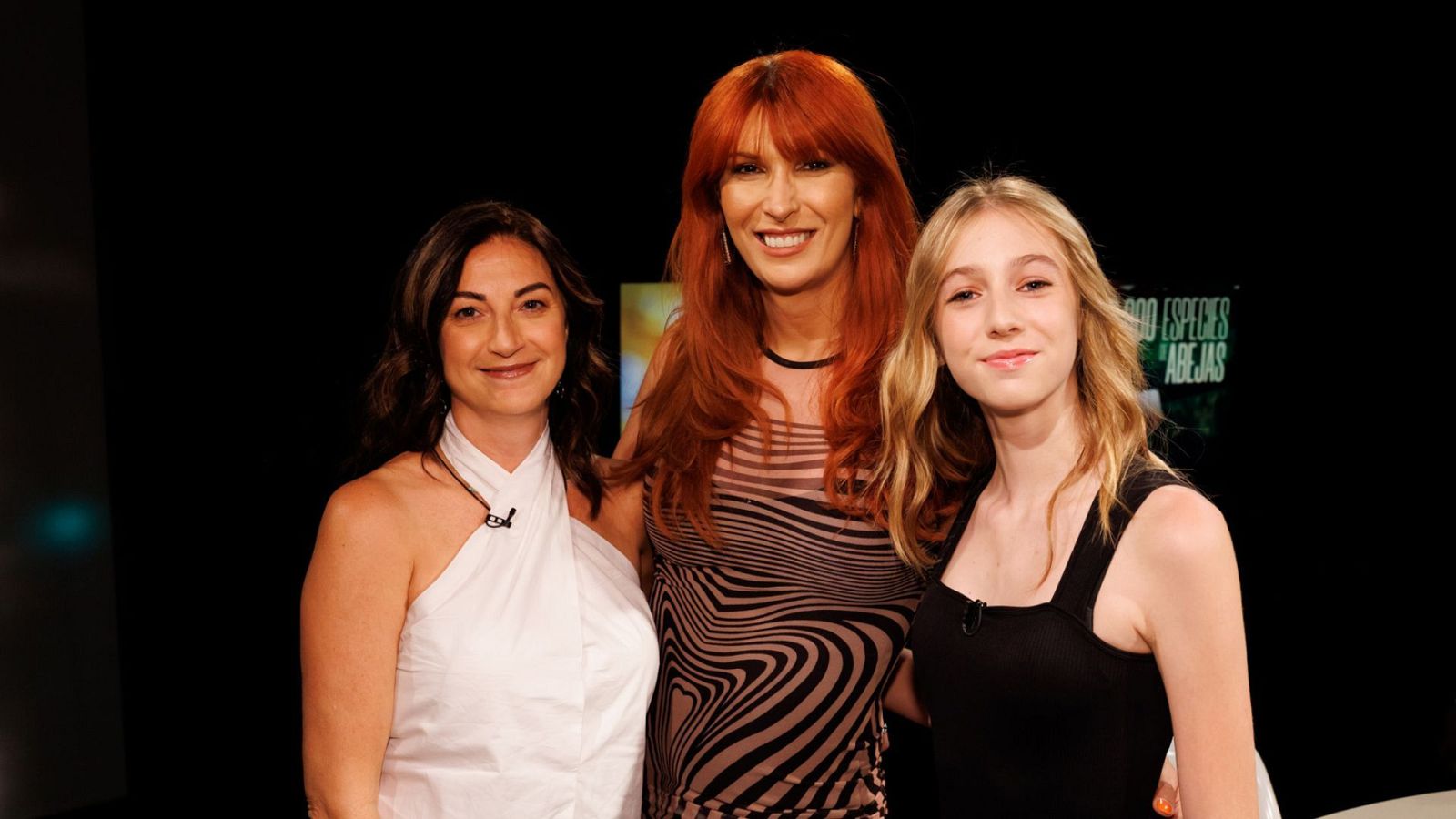 Versión española - 20.000 especies de abejas (Coloquio) - Versión española | Ver