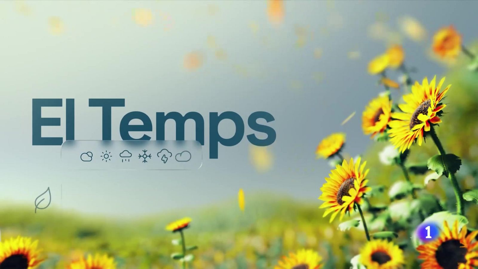 El temps a les Illes Balears - 30/06/25 | Ver