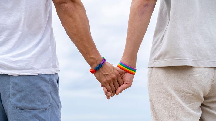 El matrimonio igualitario cumple 20 aos: la "puerta grande a la igualdad" tras una "lucha histrica"