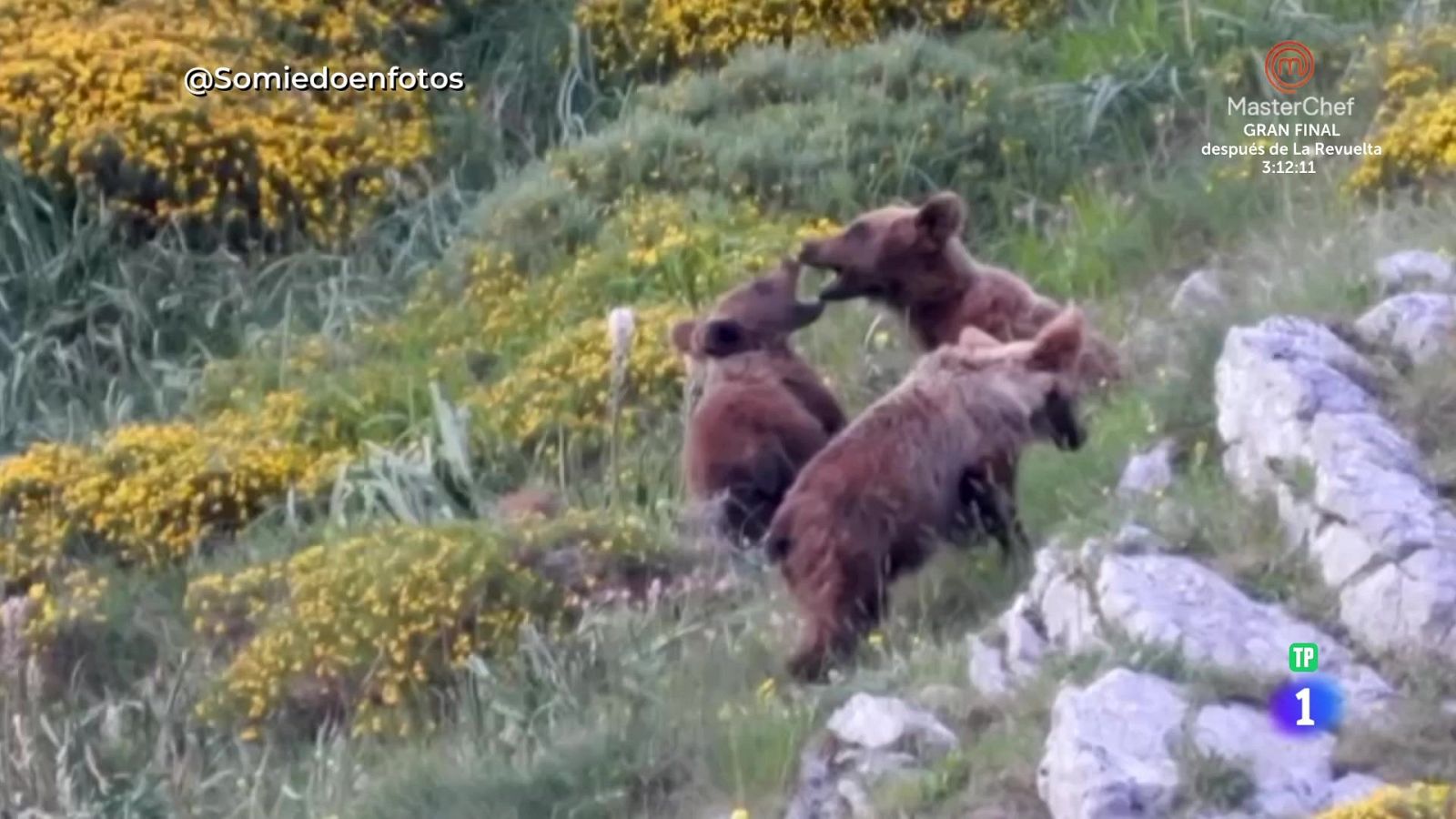 Aquí la Tierra - Una aventura maravill(osa) - Aquí la Tierra | Ver