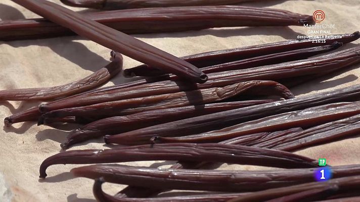 Aquí la Tierra - Las casamenteras de la vainilla