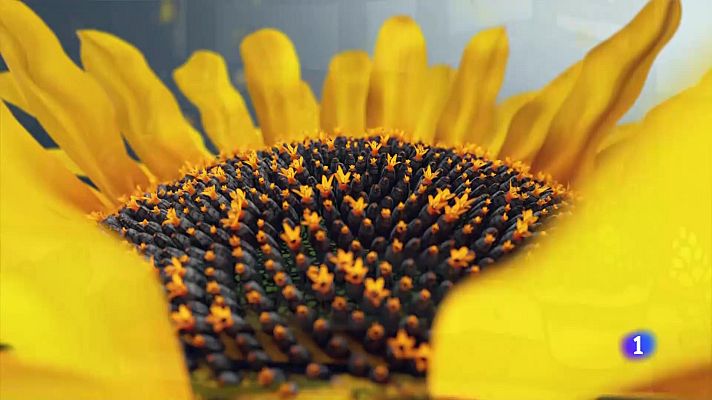 Noticias Andalucía - El tiempo en Andalucía - 01/07/2025