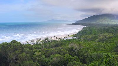 Los orgenes de la Australia tropical