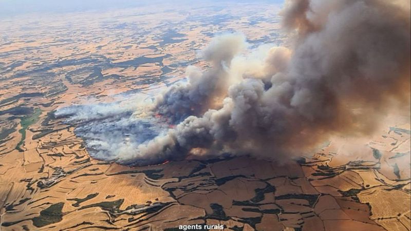 Telediario matinal en 4' - 02/07/2025 | Ver