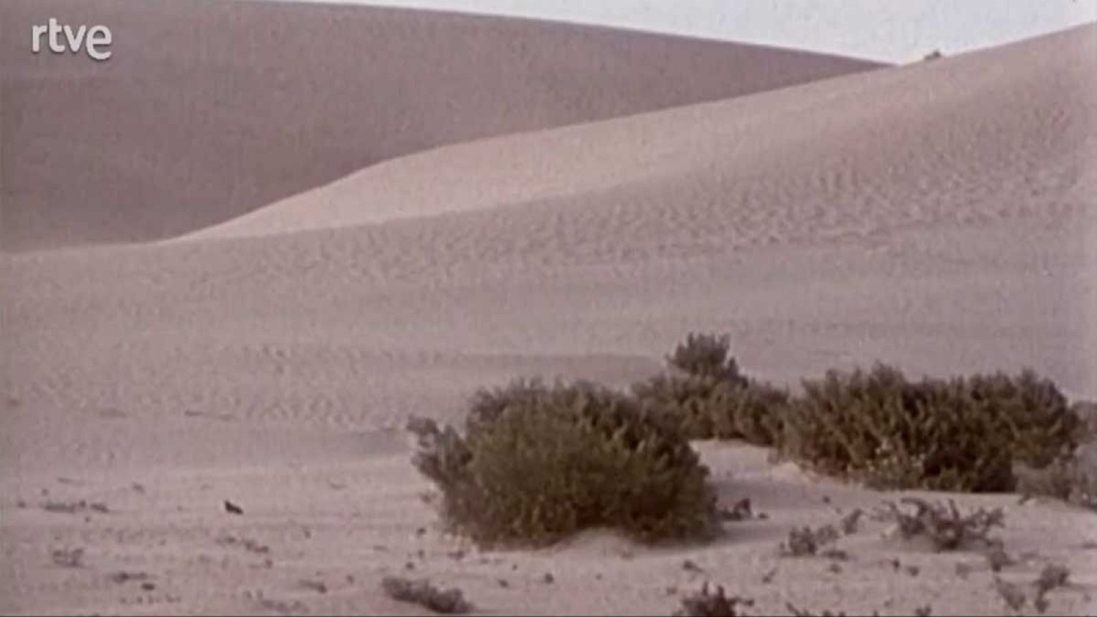 La nave Tierra - Desiertos - La nave Tierra | Ver