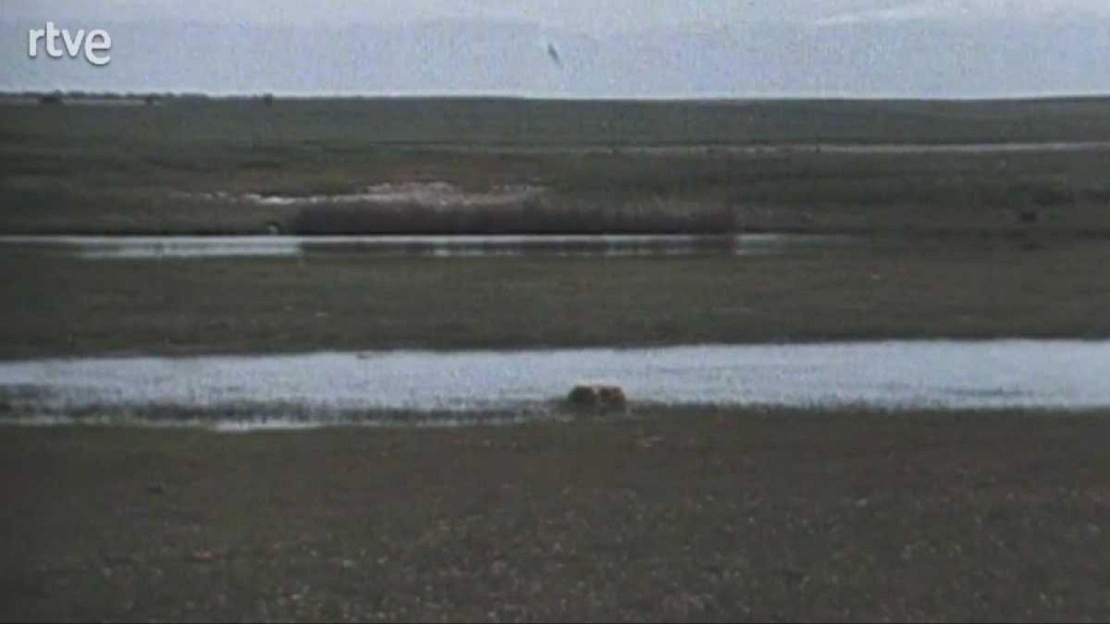 La nave Tierra - Lagunas - La nave Tierra | Ver