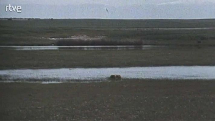 La nave Tierra - Lagunas