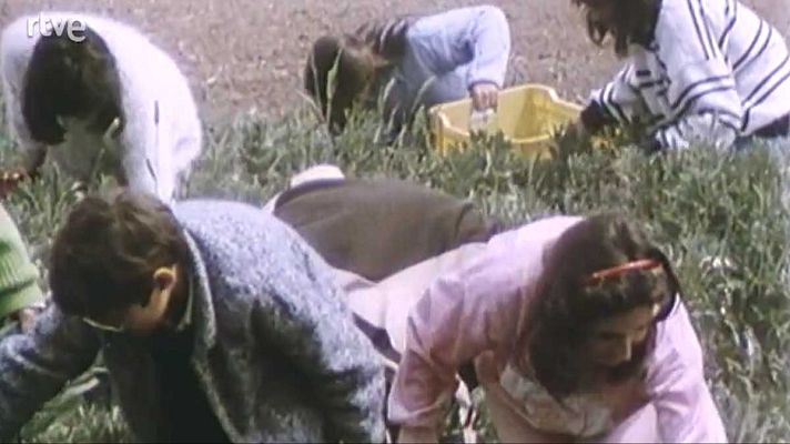 La nave Tierra - Agricultura: el suelo