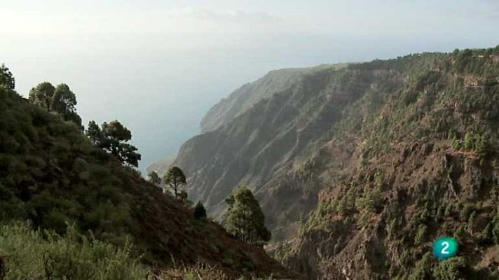 Biodiario - Biodiario  - 15/01/13