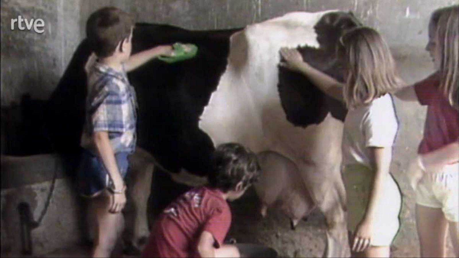 La nave Tierra - Granjas escuelas - La nave Tierra | Ver