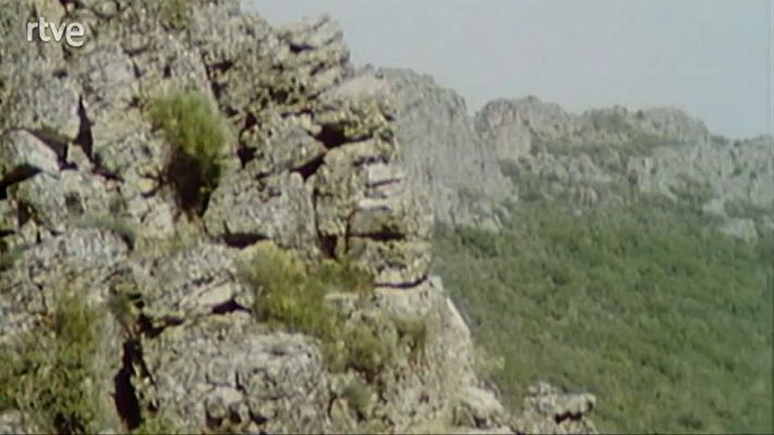 La nave Tierra - Los roquedos