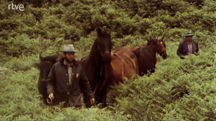 La nave Tierra - Turismo ecológico