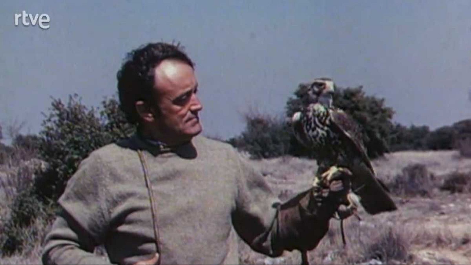 La nave Tierra - Refugios - La nave Tierra | Ver