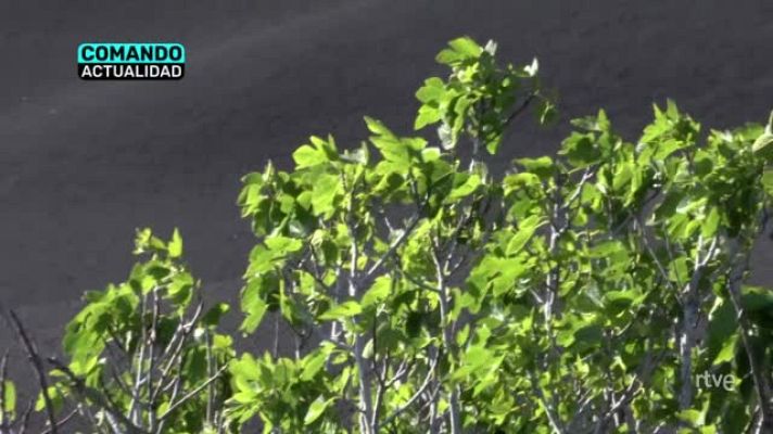  - 'Renacer de las cenizas', en 'Comando Actualidad'