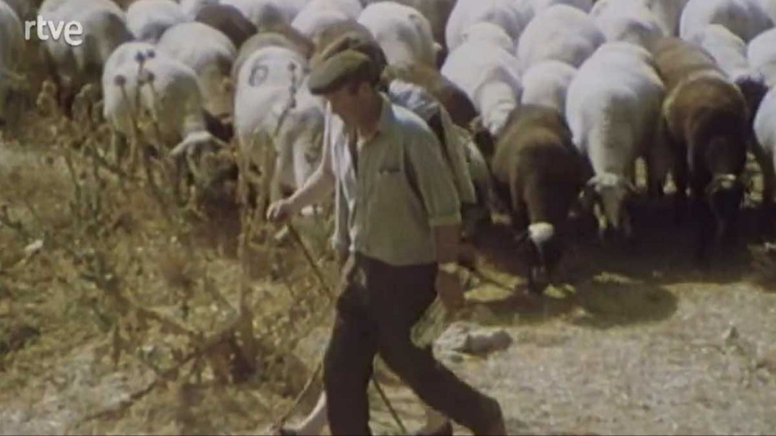 La nave Tierra - La trashumancia - La nave Tierra | Ver