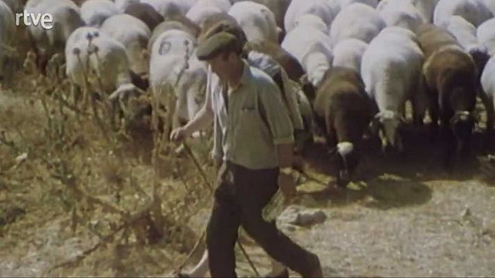 La nave Tierra - La trashumancia