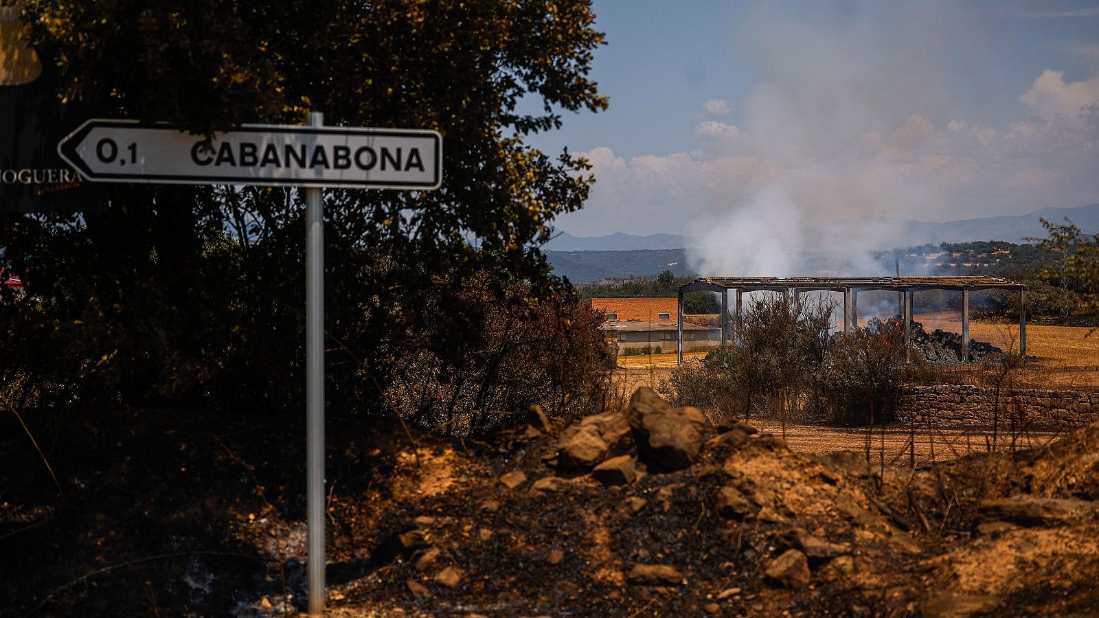 Diario 24 - 03/07/25 - Diario 24 | Ver