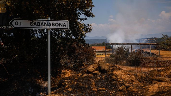 Diario 24 - Diario 24 - 03/07/25