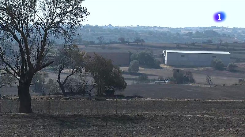 Bombers i pagesos vigilen les zones cremades a la Segarra - L'Informatiu | Veure