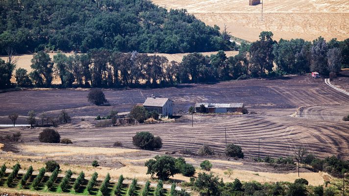 Informativo 24h - Informativo 24 horas - 14h - 03/07/25