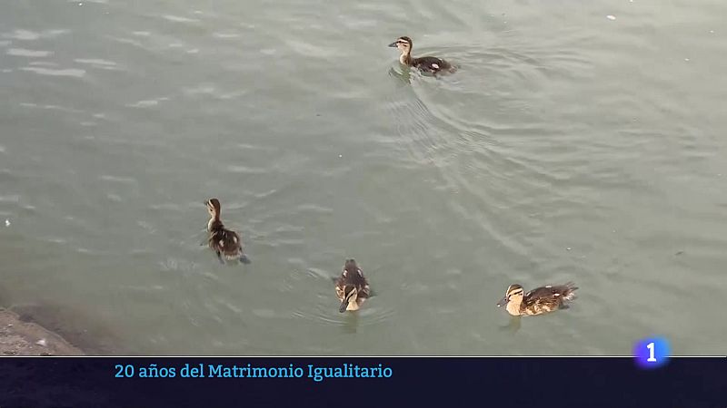 Informativo Telerioja 2 - 03-07-2025 - Ver ahora | Ver