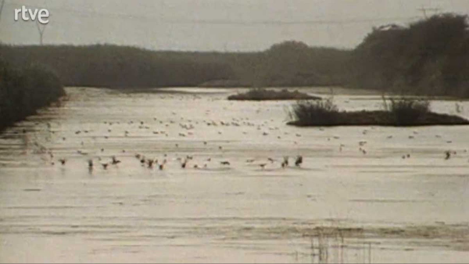 La nave Tierra - Zonas húmedas del Mediterráneo - La nave Tierra | Ver