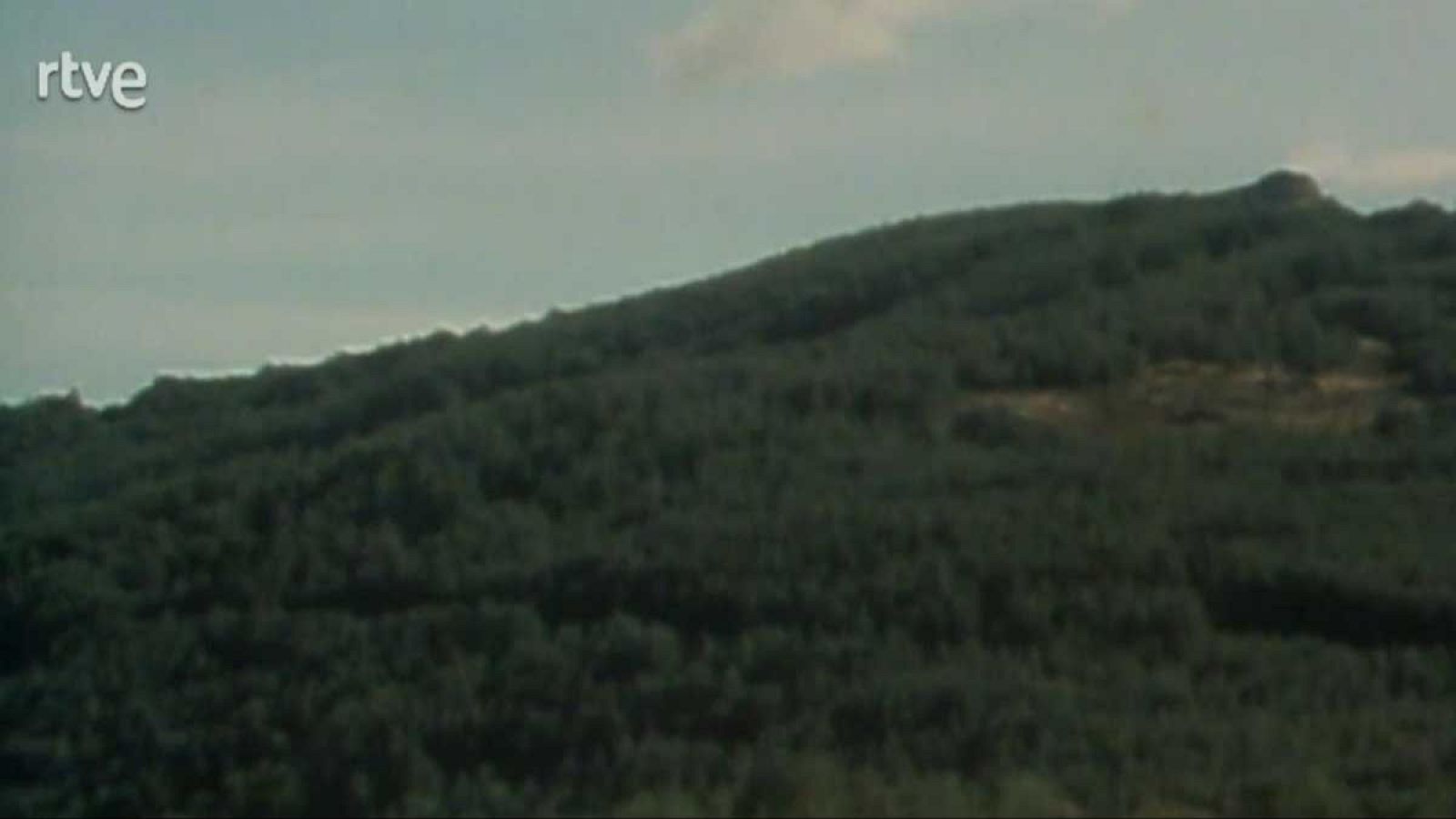 La nave Tierra - Bosques caducifolios - La nave Tierra | Ver