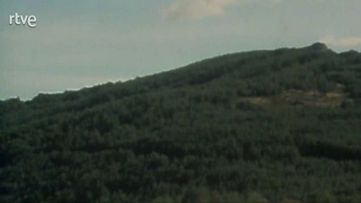 La nave Tierra - Bosques caducifolios