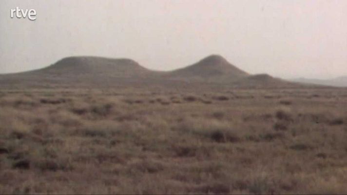 La nave Tierra - La estepa