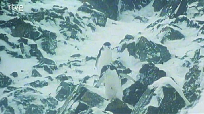 La nave Tierra - La Antártida