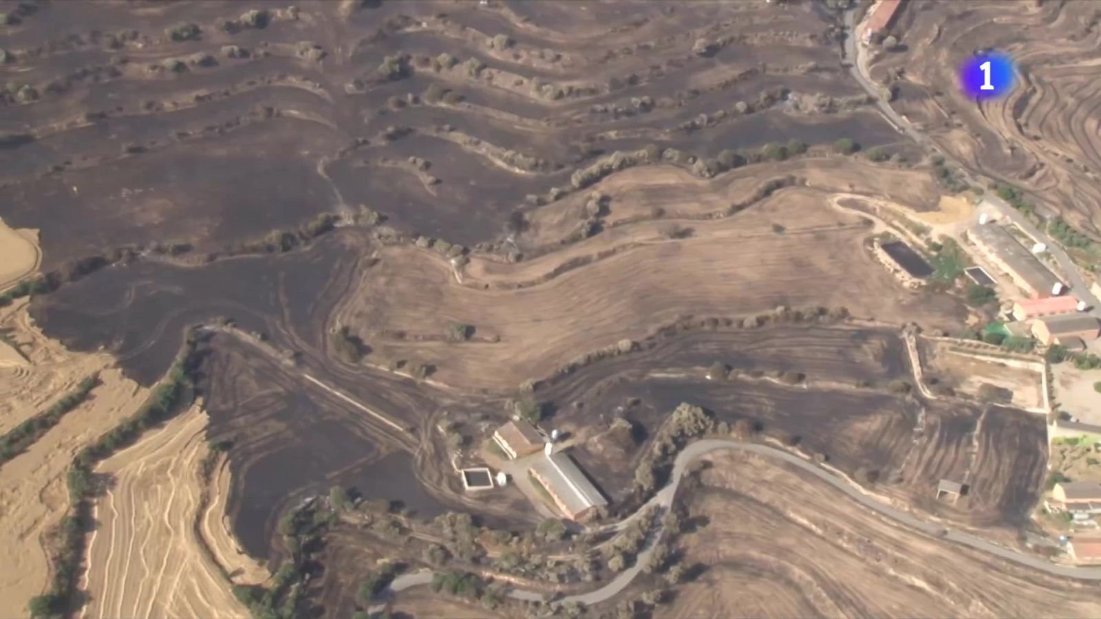 L'Informatiu - 04/07/2025