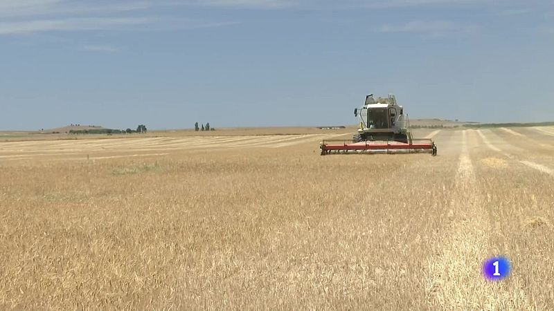 Castilla y León en 1' | Ver