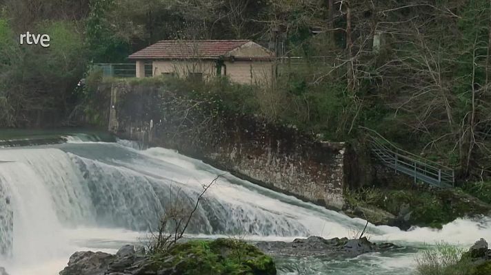 Objetivo Planeta - Bidasoa, salvar el salmón
