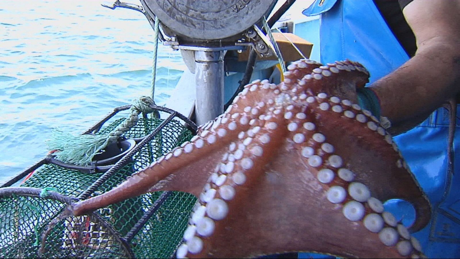 Agrosfera - 05/07/25 - Agrosfera | Ver