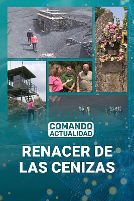 Comando Actualidad - Renacer de las cenizas