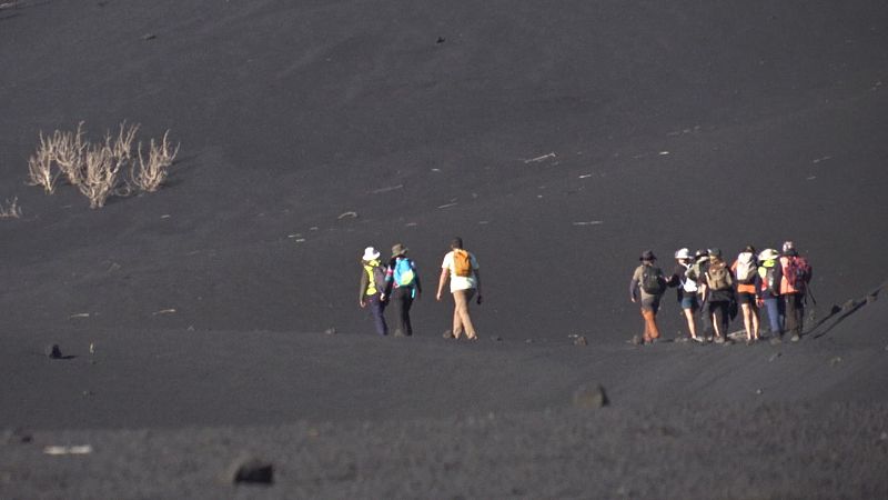Comando actualidad - Renacer de las cenizas